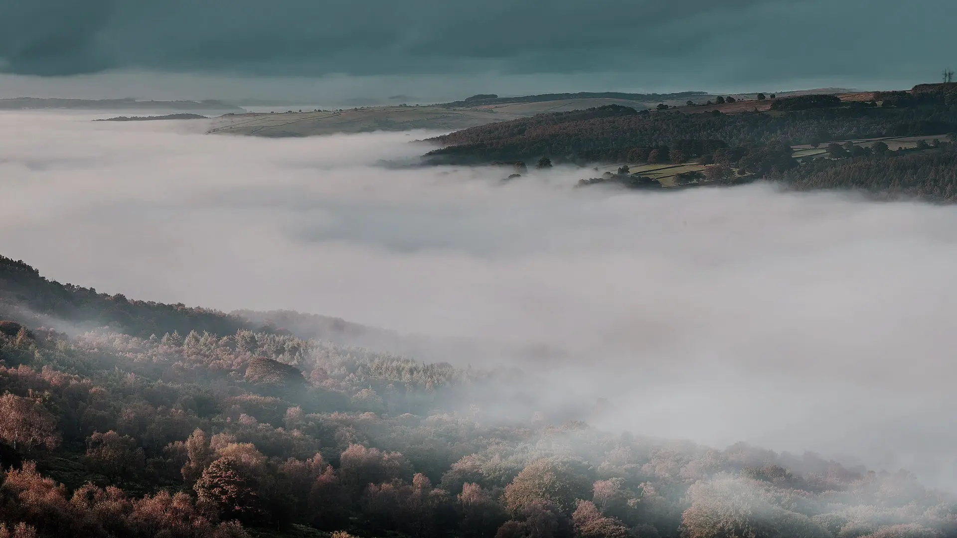 fog following the snaking curve of a river