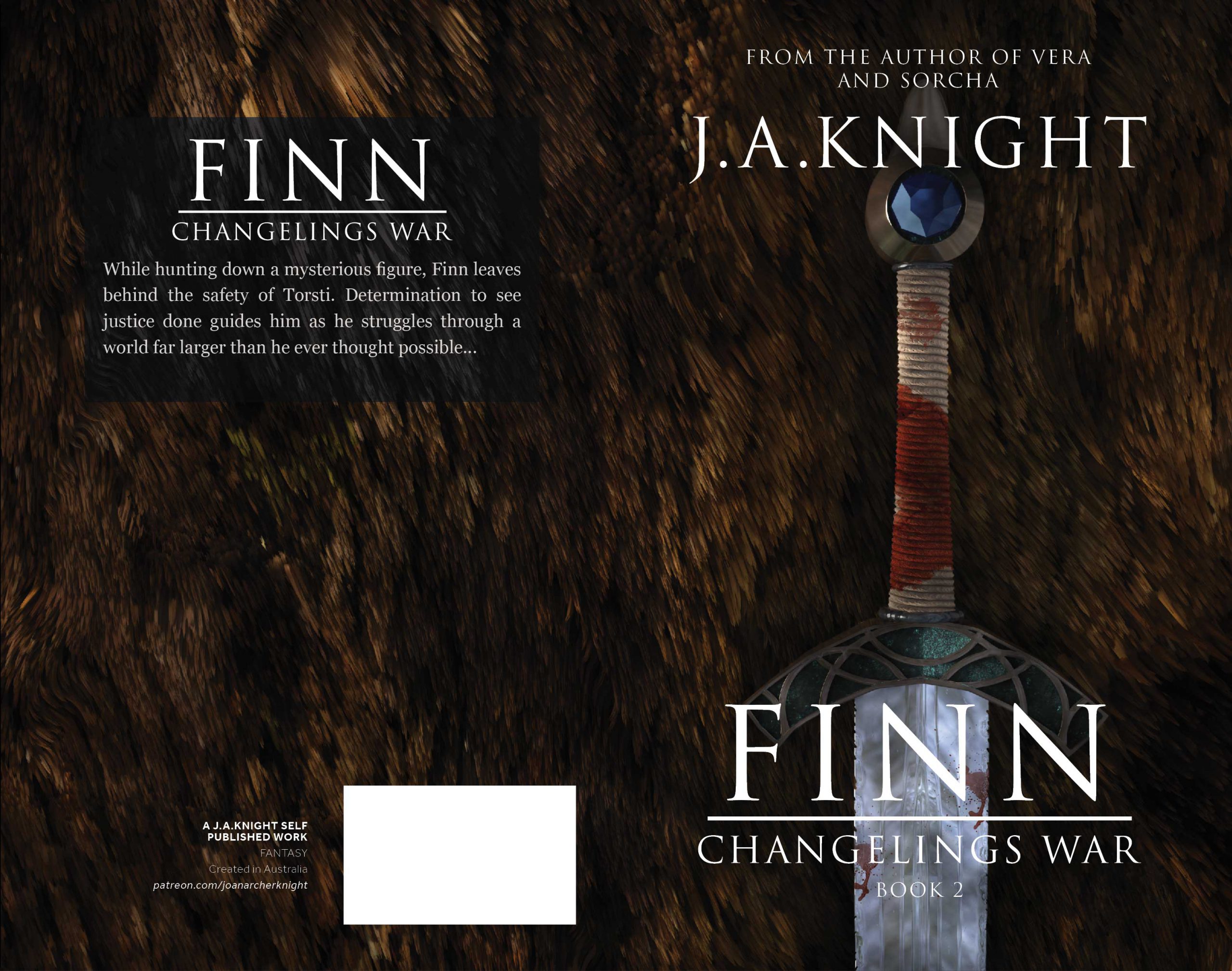 Finn book cover